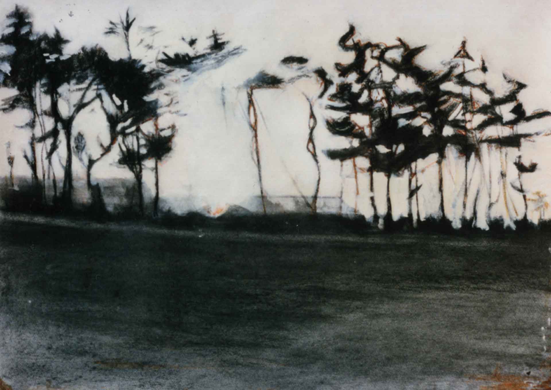 Bewliehill, Scotland. Charcoal And Acrylic Drawing By Victoria Orr Ewing