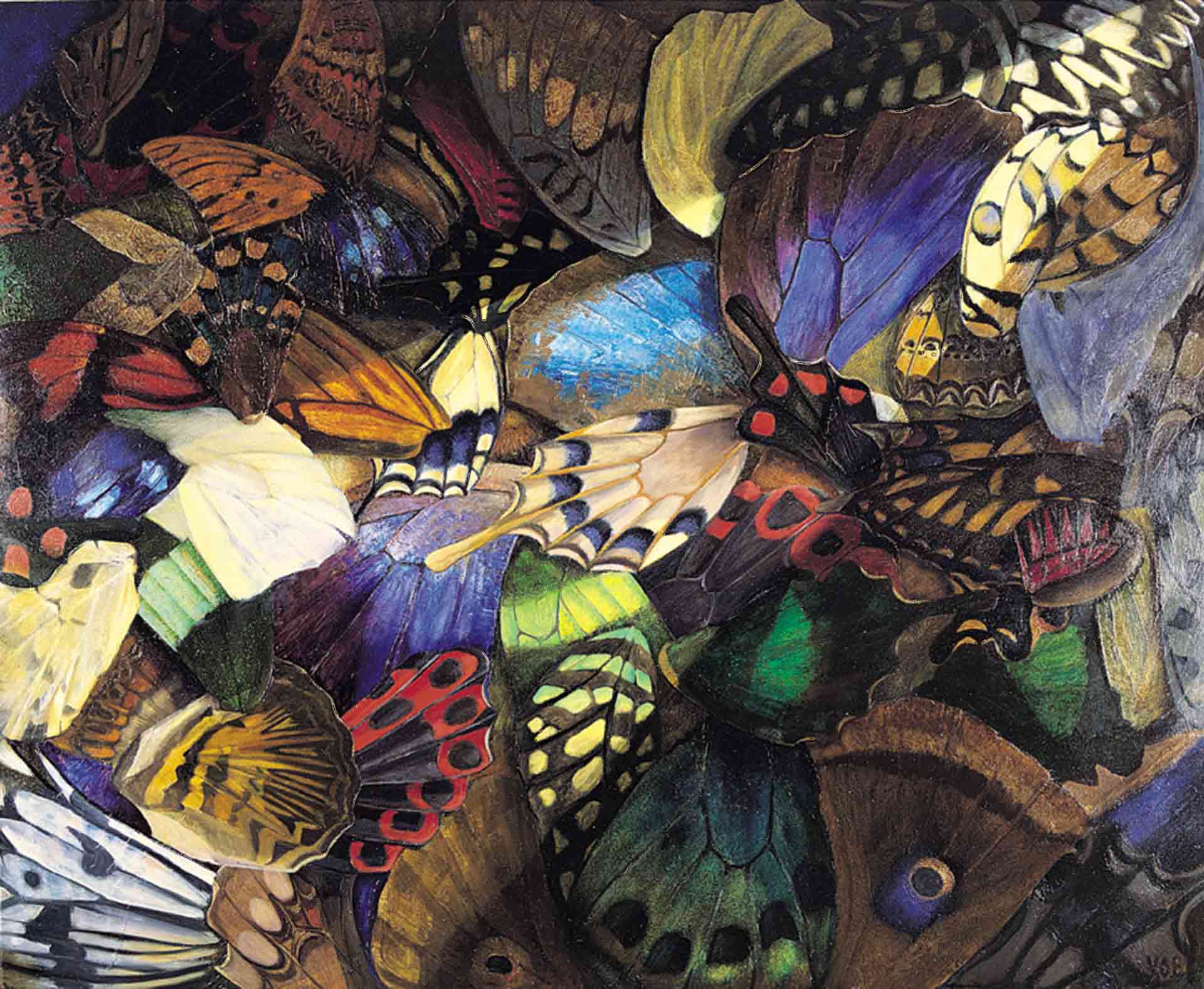 Butterfly Wings. Still Life Painting by Victoria Orr Ewing