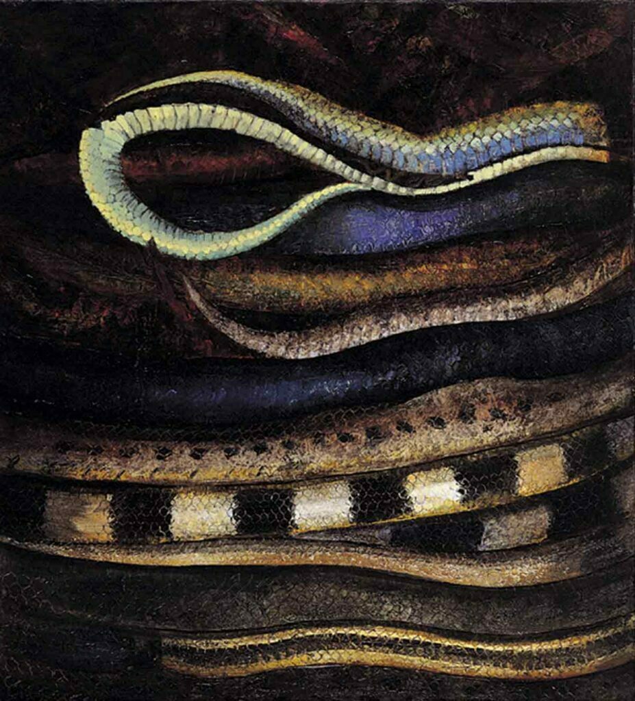 Snake Wine. Still Life Painting by Victoria Orr Ewing Snake Wine. Still Life Painting by Victoria Orr Ewing