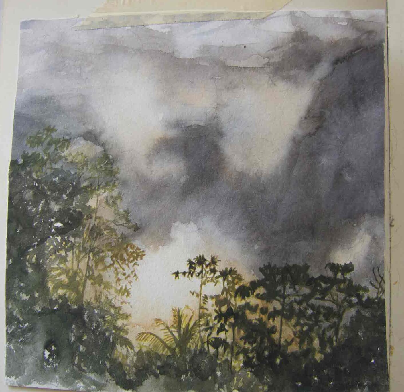 Sketch Of The Forest In Sri Lanka